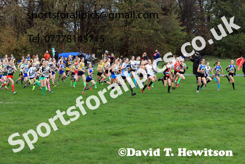 Girls Under-13s 2025 Liverpool Cross Challenge, Sefton Park, Saturday, November 22th. Photo: David T. Hewitson/Sports for All Pics